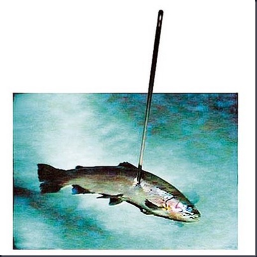 clip_image003