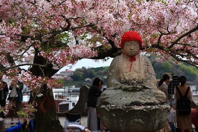 寶土寺