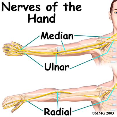 Tickle My Ulnar Nerve: Ulnar, Radial, Median Nerve