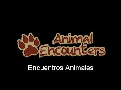 Documental Encuentros Animales