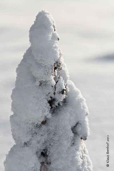 Schneemann