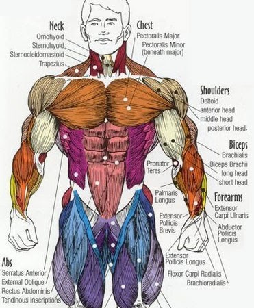 Strength Training: Chest simple Workout