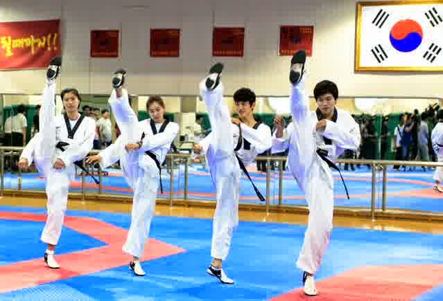 Taekwondo adalah