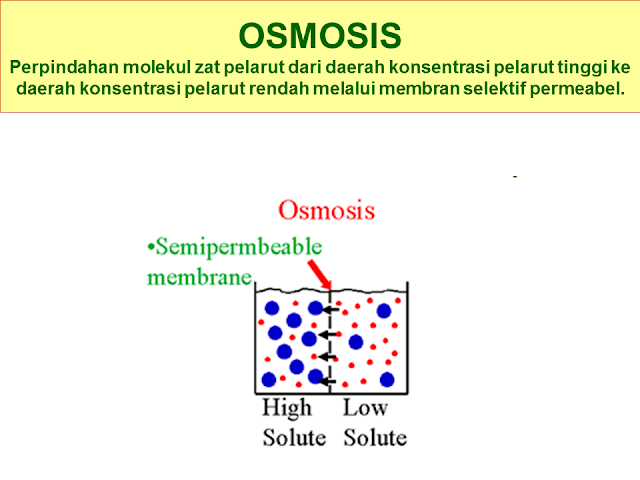 Osmosis