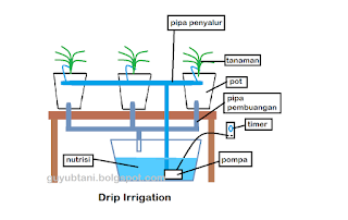 Cara Kerja Hidroponik Drip Irrigation (Irigasi Tetes)