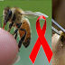 Mito o verdad: La cura del VIH (sida) esta en una abeja. Veamos...