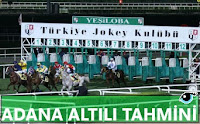 14 Ekim Adana Altılı Ganyan Tahminlerimiz