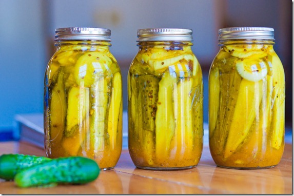 zesty bread butter pickles-4844