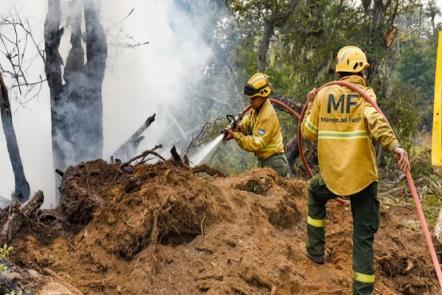 El incendio forestal en TDF aun no fue extinguido, luego de cuatro meses