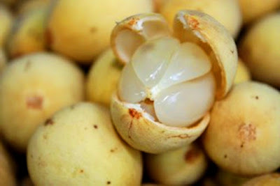 Duku Fruit for Health Benefits