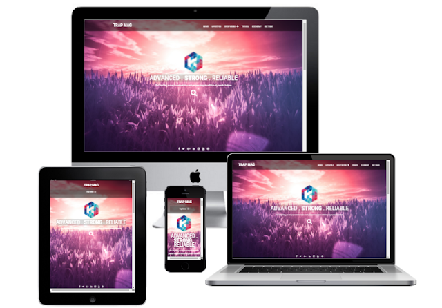 responsive paid theme