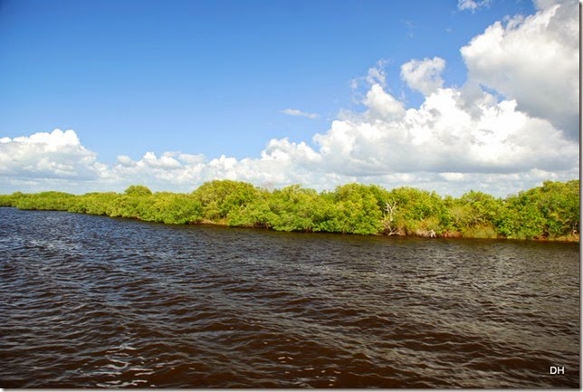 03-14-15 Boat Trip on Peace River Punta Gorda (56)