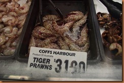 Coffs Harbour 2011-06-29 015