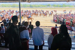 Jokowi Saksikan Ekshibisi Balap Pacuan kuda di Sumba Timur 