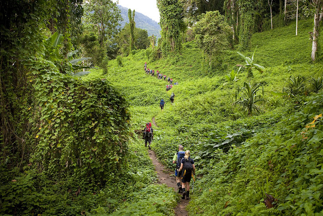 kokoda track,trekking in papua new guinea,trekking in south asia,toughest trek,best trek