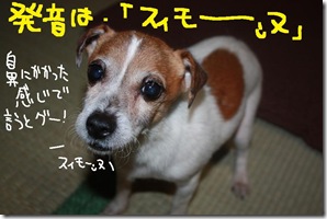 今日カズ１００４１８　６