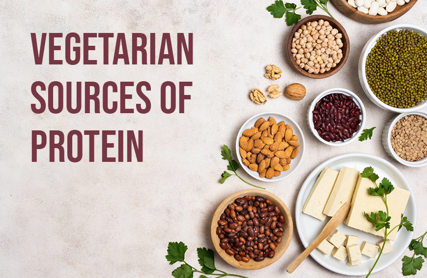 Vegetarian Protein Source