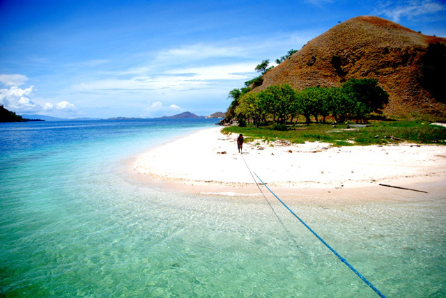 Keindahan Pulau Padar Nan Eksotis 