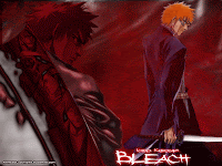 Bleach