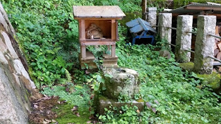 人文研究見聞録：大年神社（和木町） ［島根県］