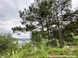 Khu biệt thự sang trọng, view rừng thông tại KQH An Sơn cần bán lô đất.