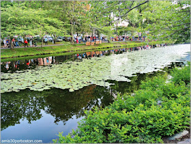 Día de la Independencia 2015: Boston Esplanade