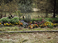 Flower border, Tokushima, Skikoku, Japan