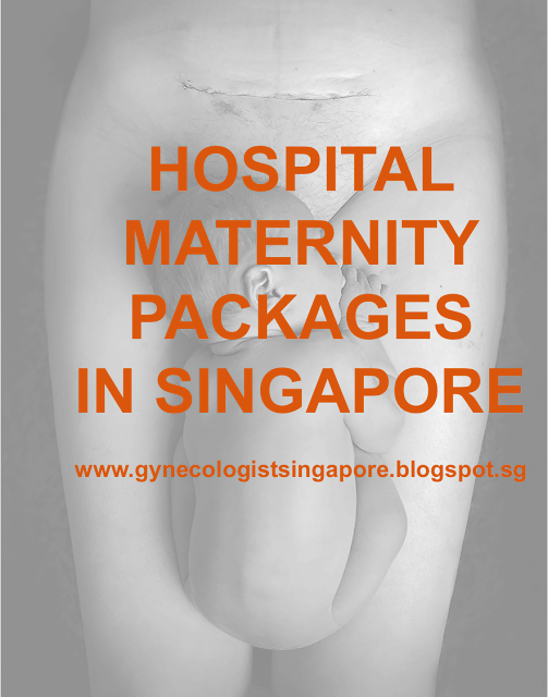 Maternity Package Singapore Review