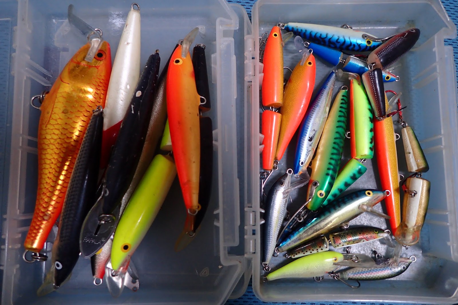 Angling Monster 川のトラウト２０１８ その１