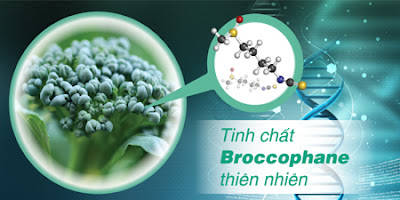 Tinh chất Broccopphane giúp mắt sáng, bổ mắt từ bên trong