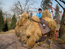 Ben on Kneeling Camel