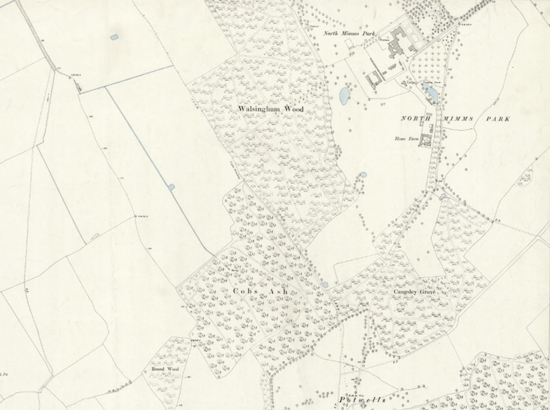 Detail of the 1896 OS map of the North Mymms Park area