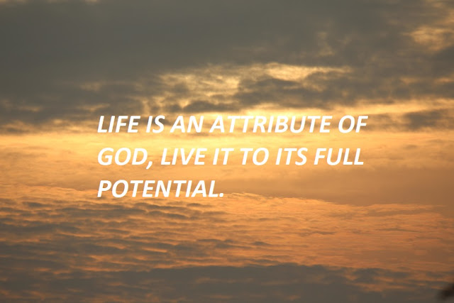 LIFE IS AN ATTRIBUTE OF GOD, LIVE IT TO ITS FULL POTENTIAL.