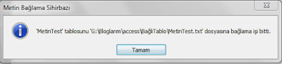 access menüleri