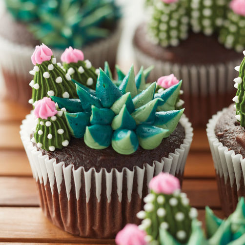 Blooming Succulent Cupcakes