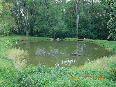 Área verde da vila dos remédios - Lagos