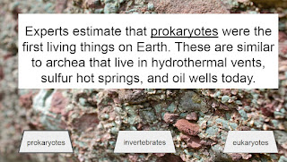 Experts estimate that prokaryotes were the first living things on Earth. These are similar to archea that live in hydrothermal vents, sulfur hot springs, and oil wells today.