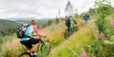 Las excursiones en bici