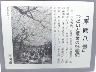 「座間八景 つどいと散策の畑灌桜」説明看板