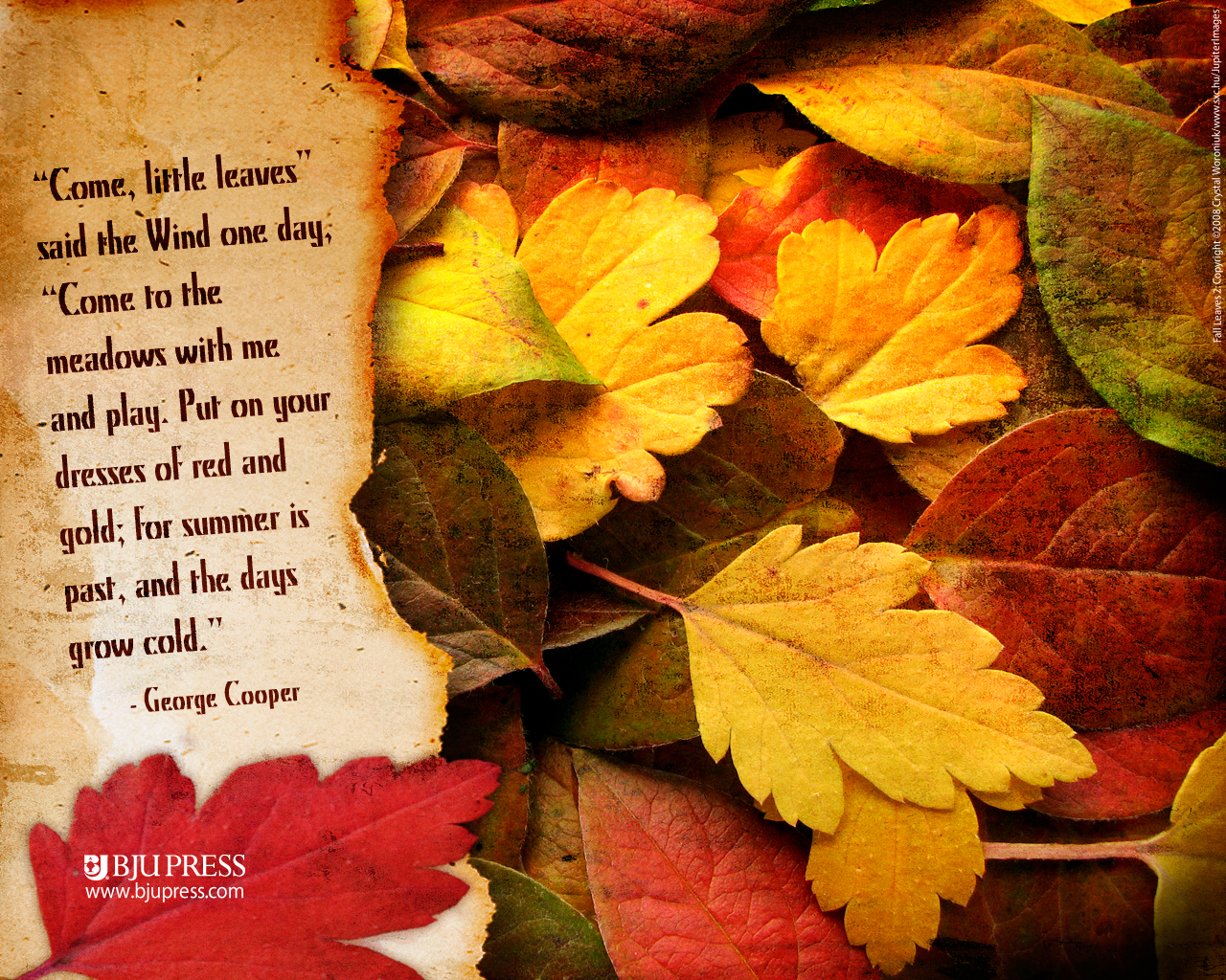 Autumn Leaves Wallpaper | Beautiful Wallpapers
