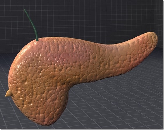 Pancreas