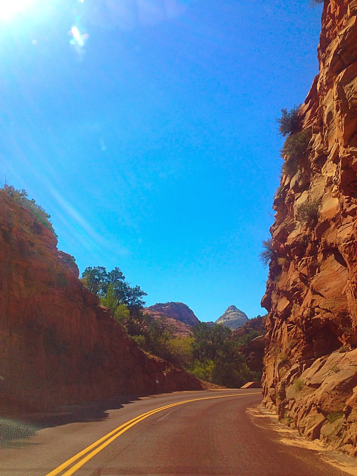 Zions National Park