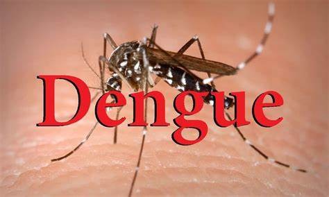 लखनऊ: ट्रॉमा में भर्ती महिला की डेंगू से हुयी हुई मौत, बीते 24 घंटे में राजधानी में मिले डेंगू के 30 मरीज