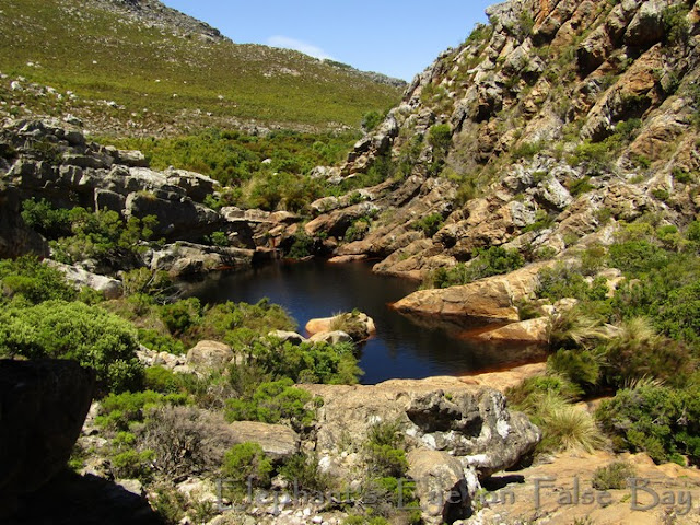 Mountain pool near Steenbras