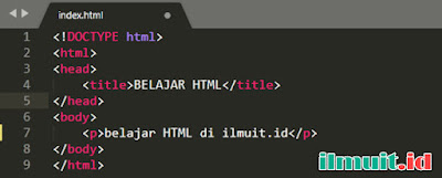 Panduan Struktur Dasar HTML