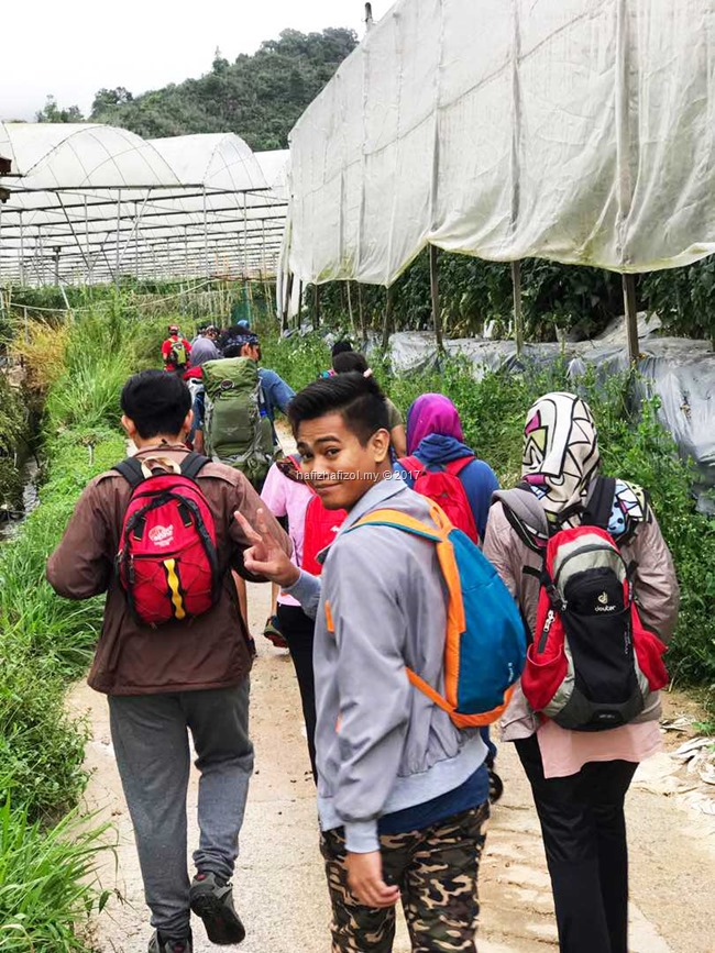 laluan ke gunung siku mossy forest