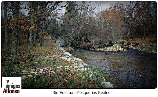 Pesquerías Reales - AlfonsoyAmigos