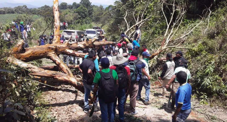 hoyennoticia.com, Atacada a tiros Minga en el Cauca:11 heridos