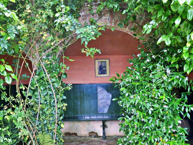 Shelter at Lost Gardens of Heligan