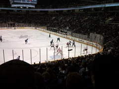 Sharks Game